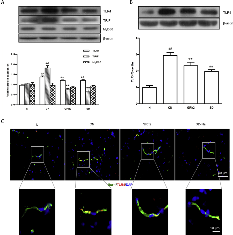 Fig. 7