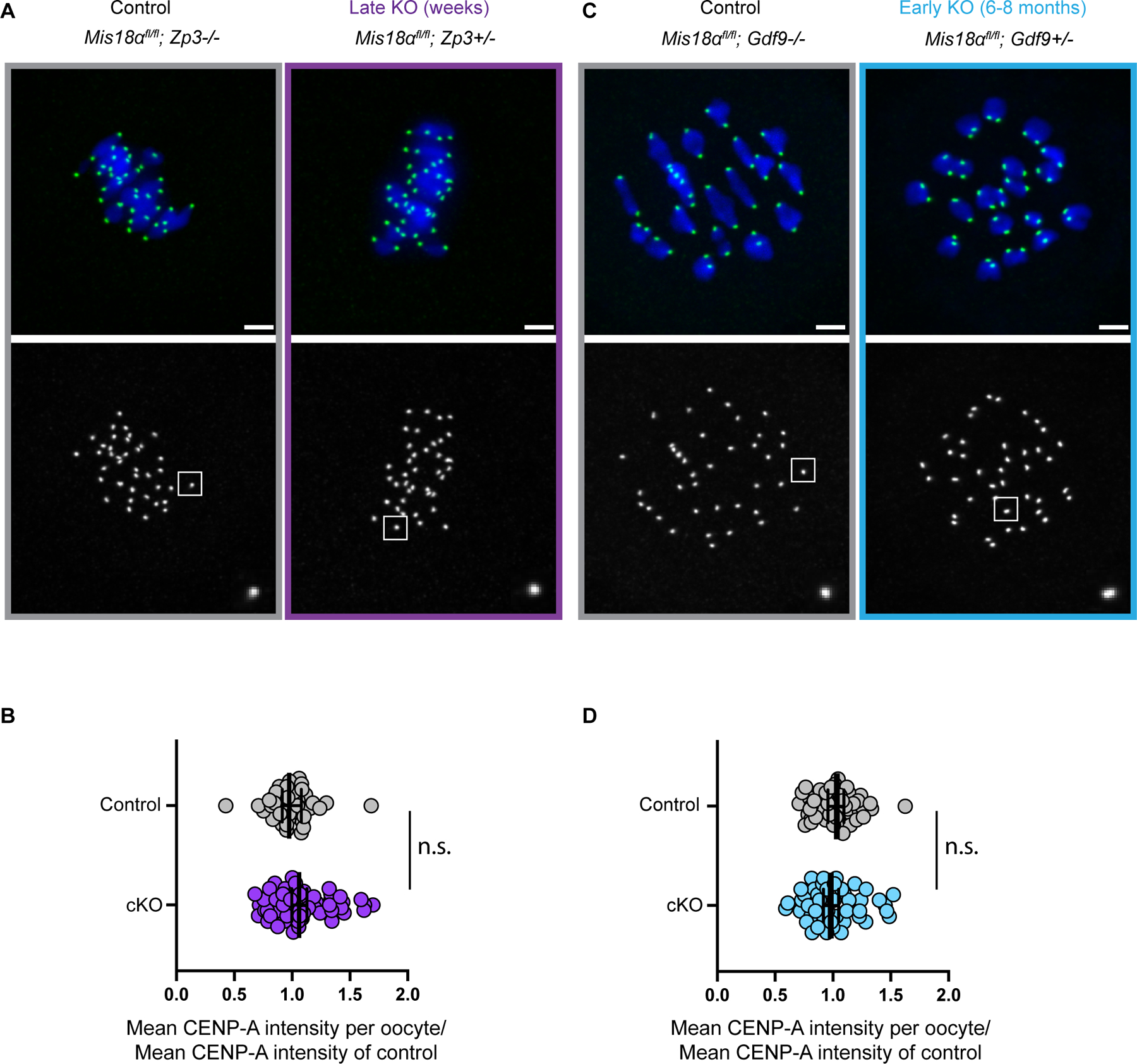 Figure 4: