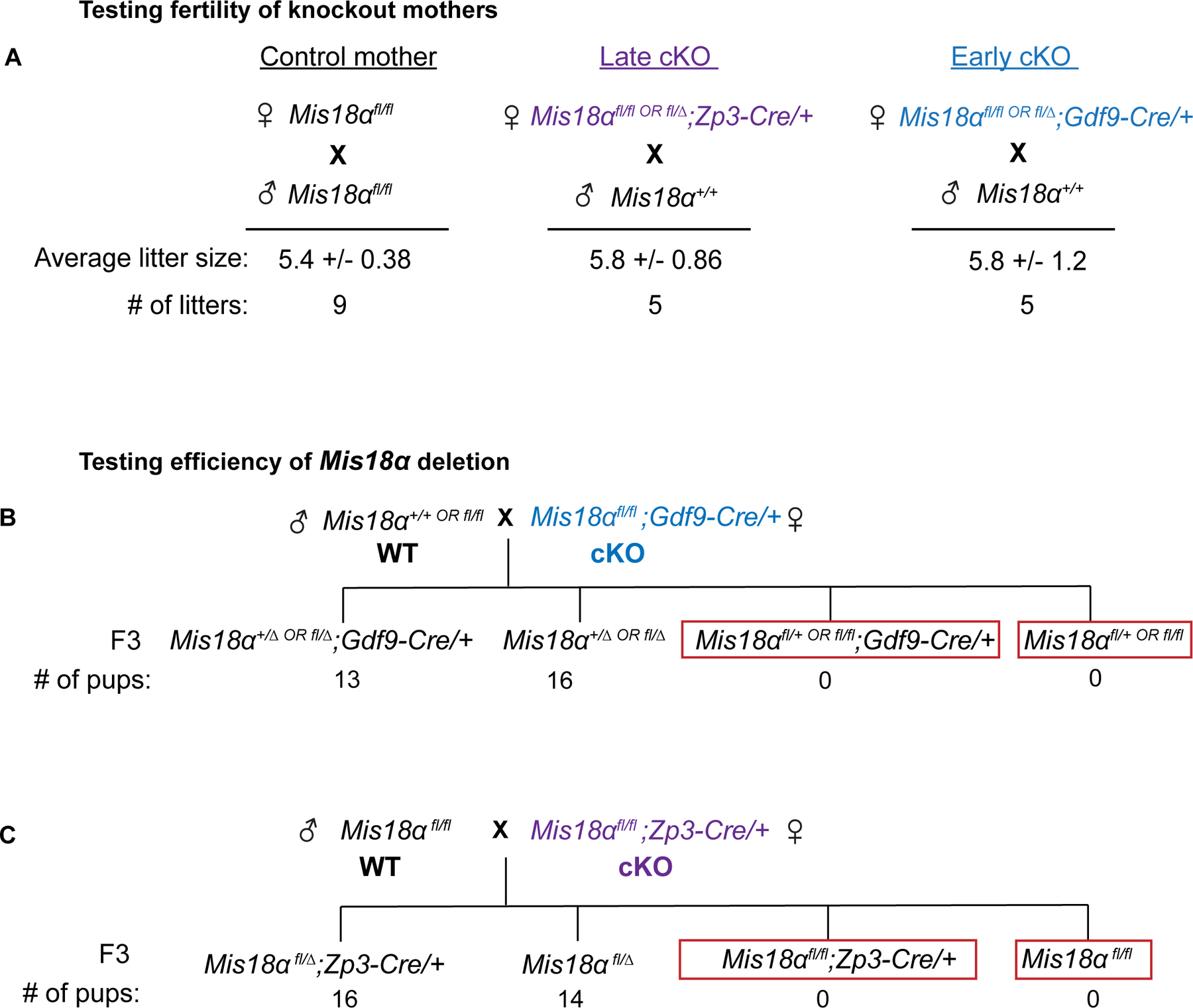 Figure 3: