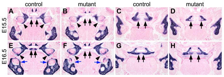 Fig. 9