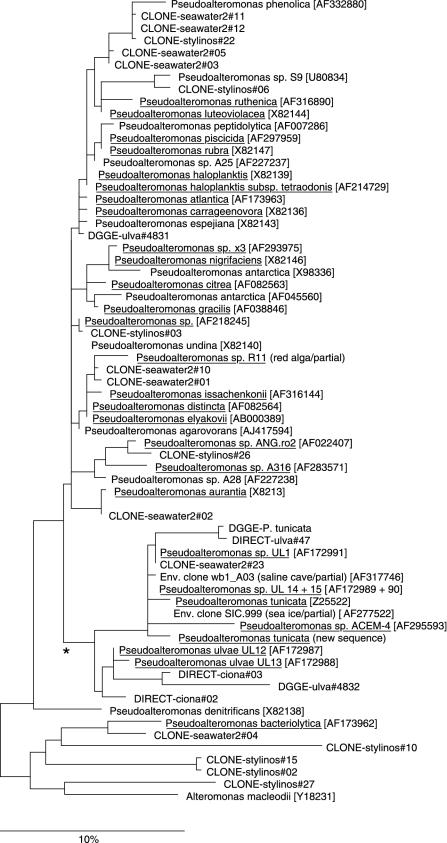 FIG.2.