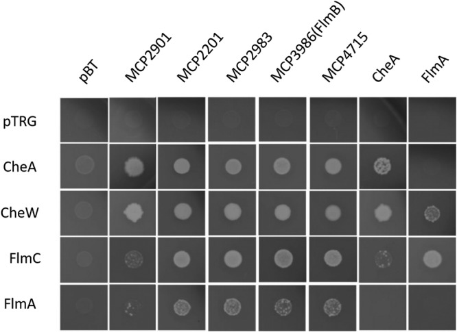 FIG 3