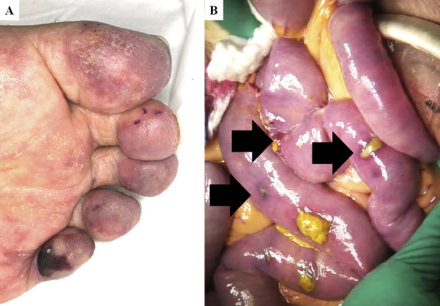 Figure 3.