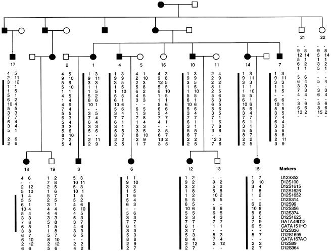 Figure  1