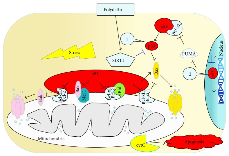 Figure 6