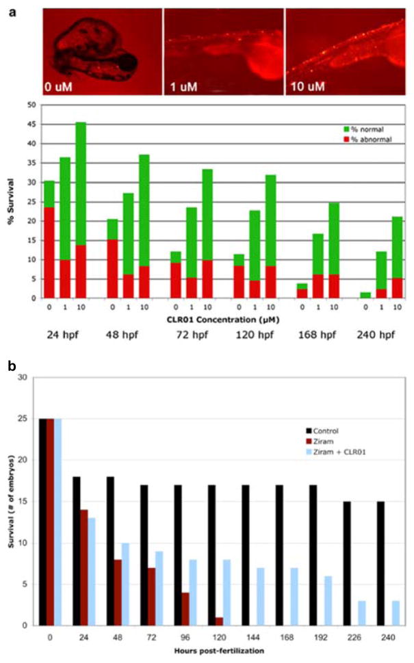 Figure 7