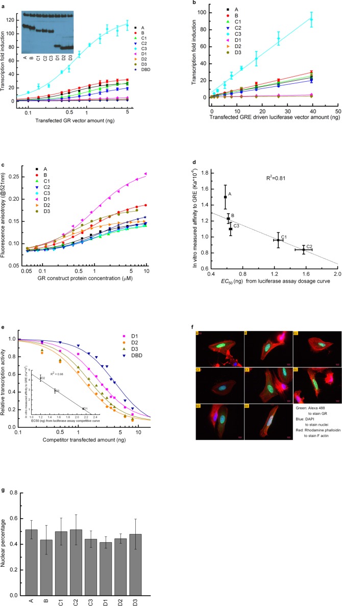 Figure 1—figure supplement 1.