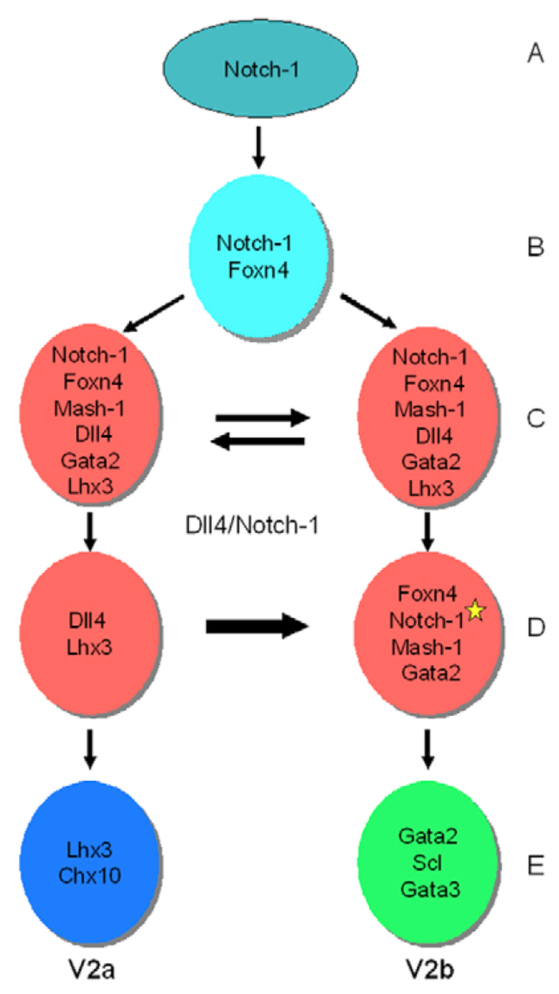 Fig. 9