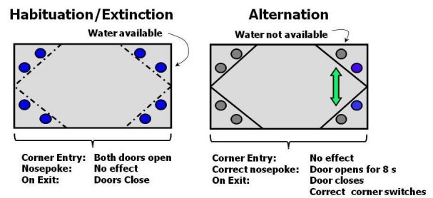 graphic file with name figure11.jpg