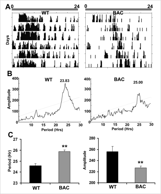 graphic file with name figure3.jpg