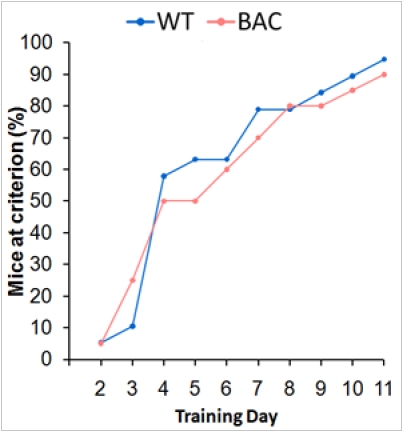 graphic file with name figure5.jpg