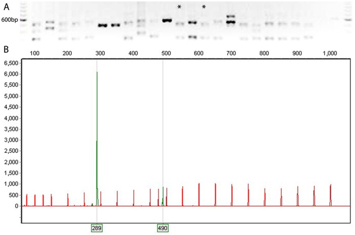 Figure 5