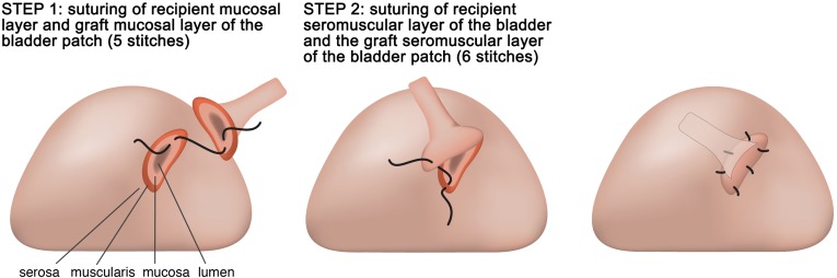 Fig. 6