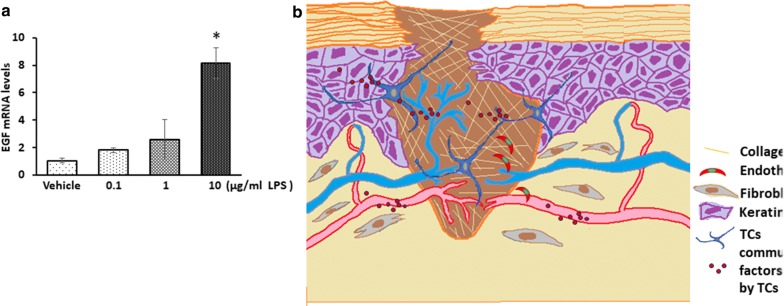 Fig. 10