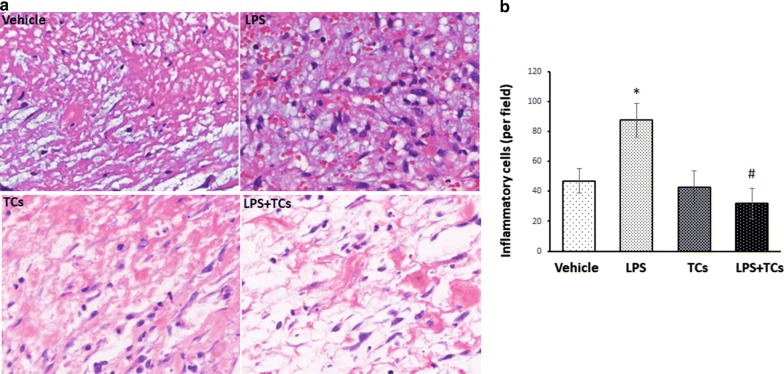 Fig. 4