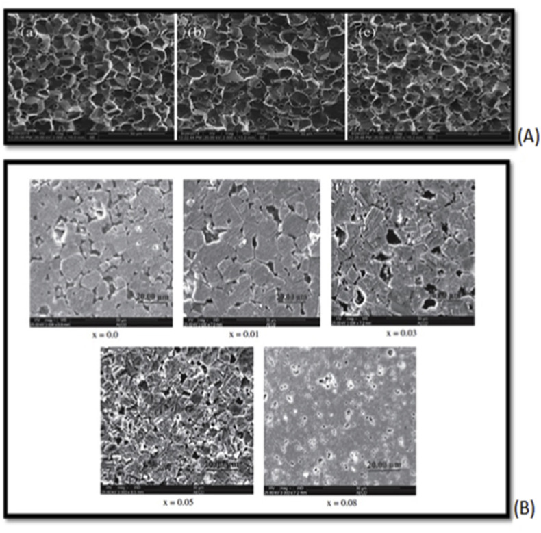 Fig. 12