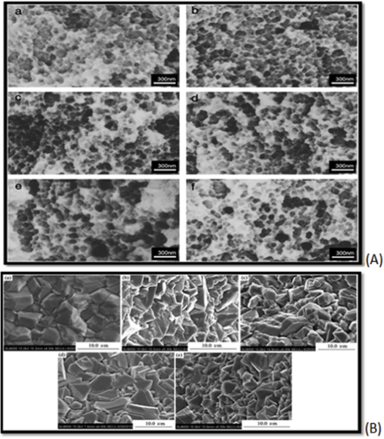 Fig. 13