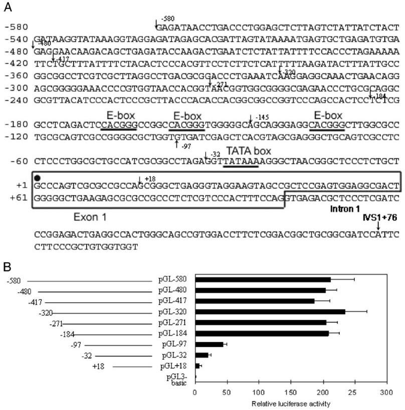 FIGURE 1