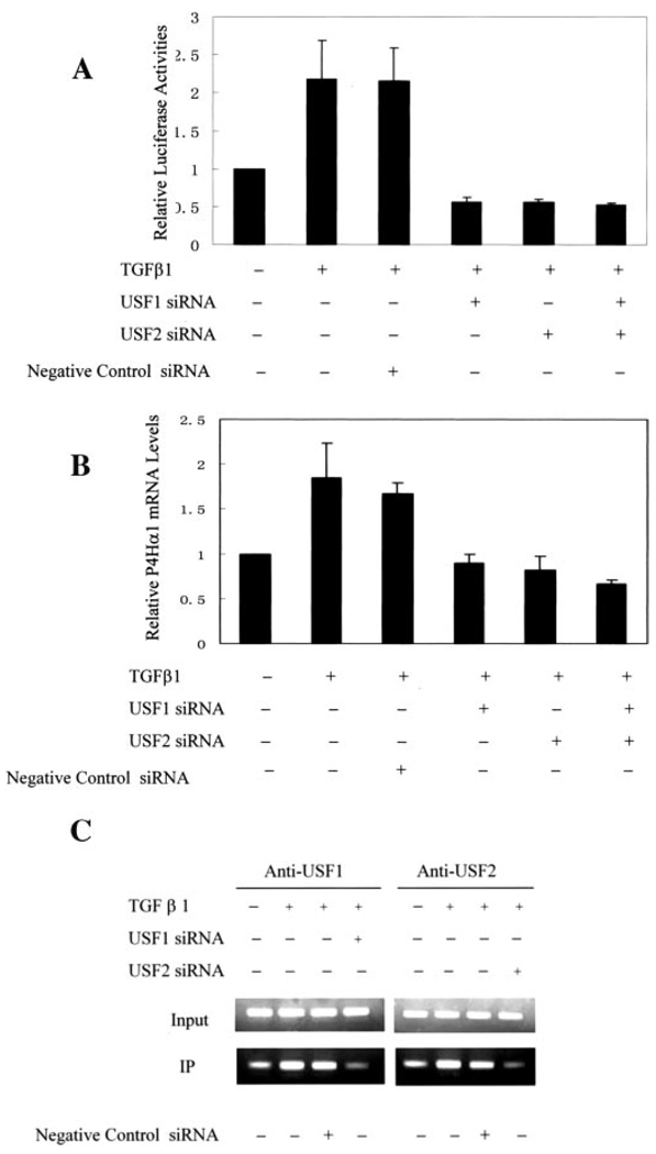 FIGURE 4