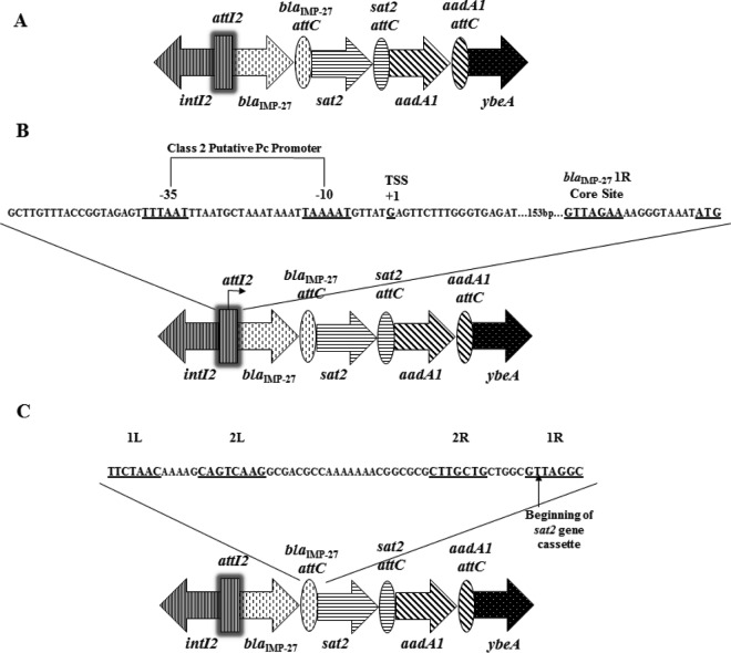 FIG 1