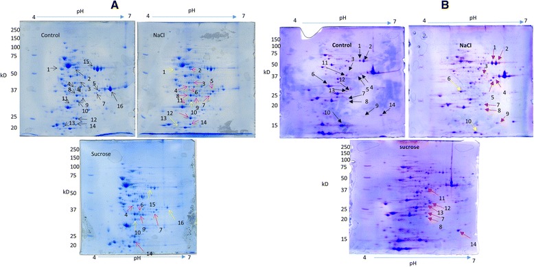 Fig. 7