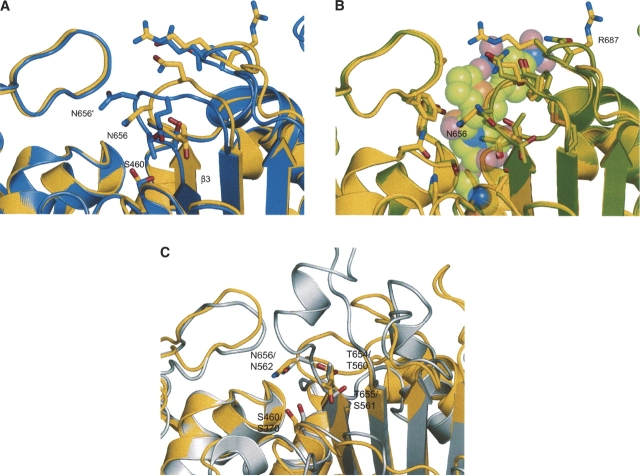 Figure 3.