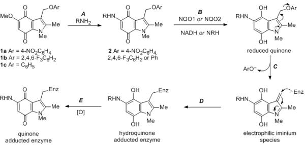 Scheme 1