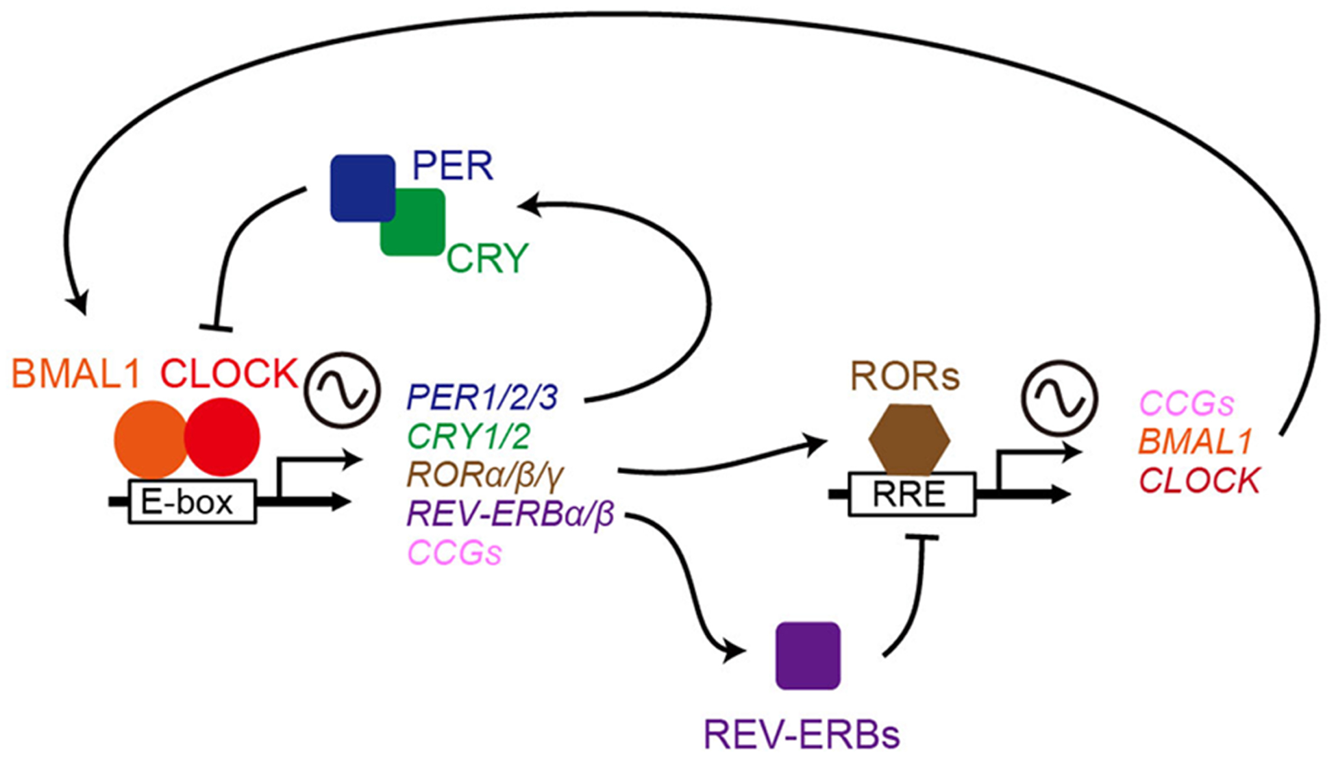 Figure 3.