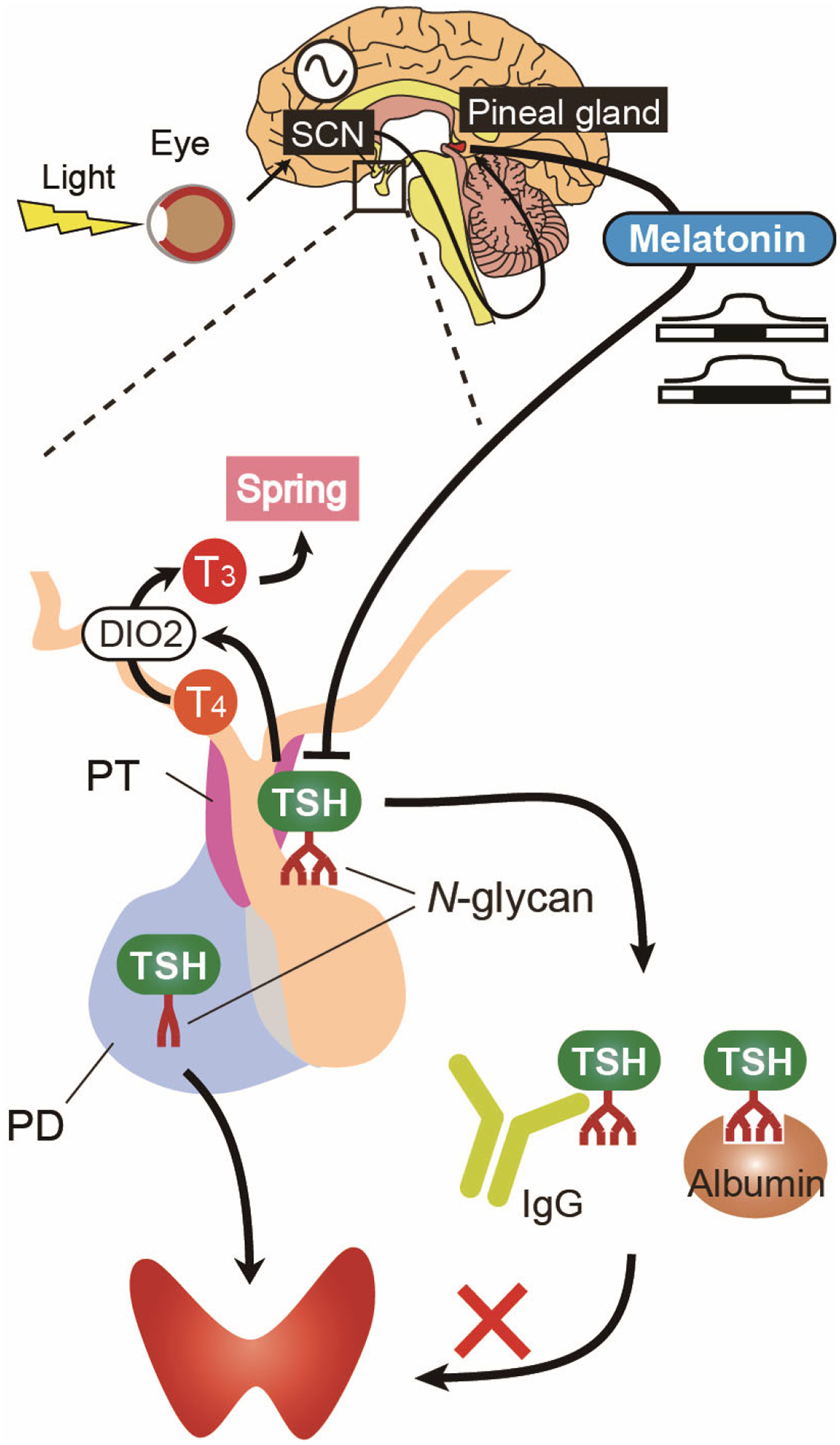 Figure 6.