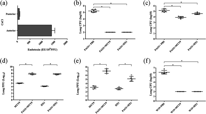 FIG 6