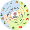 Image, graphical abstract