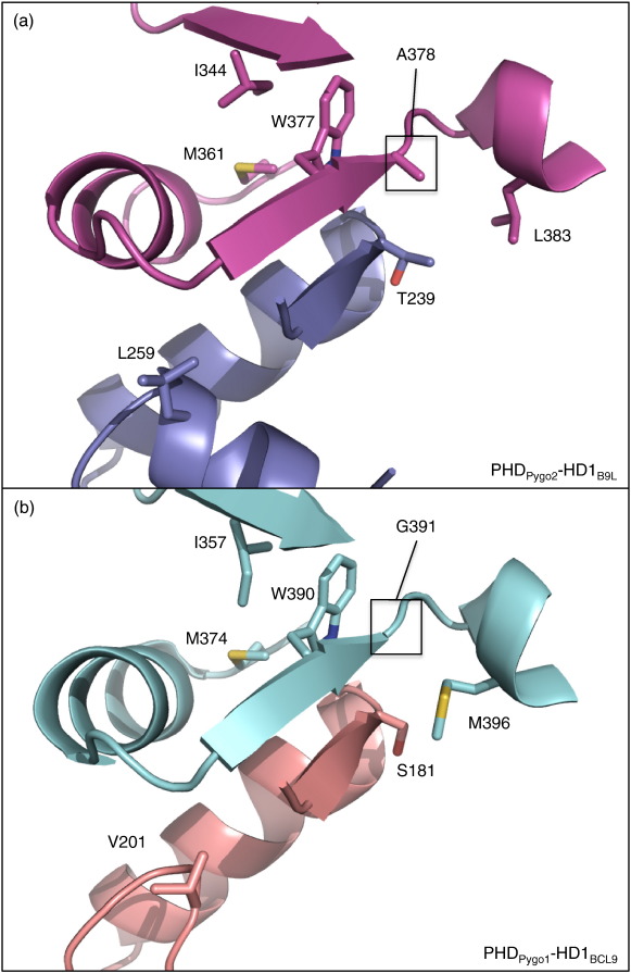 Fig. 9