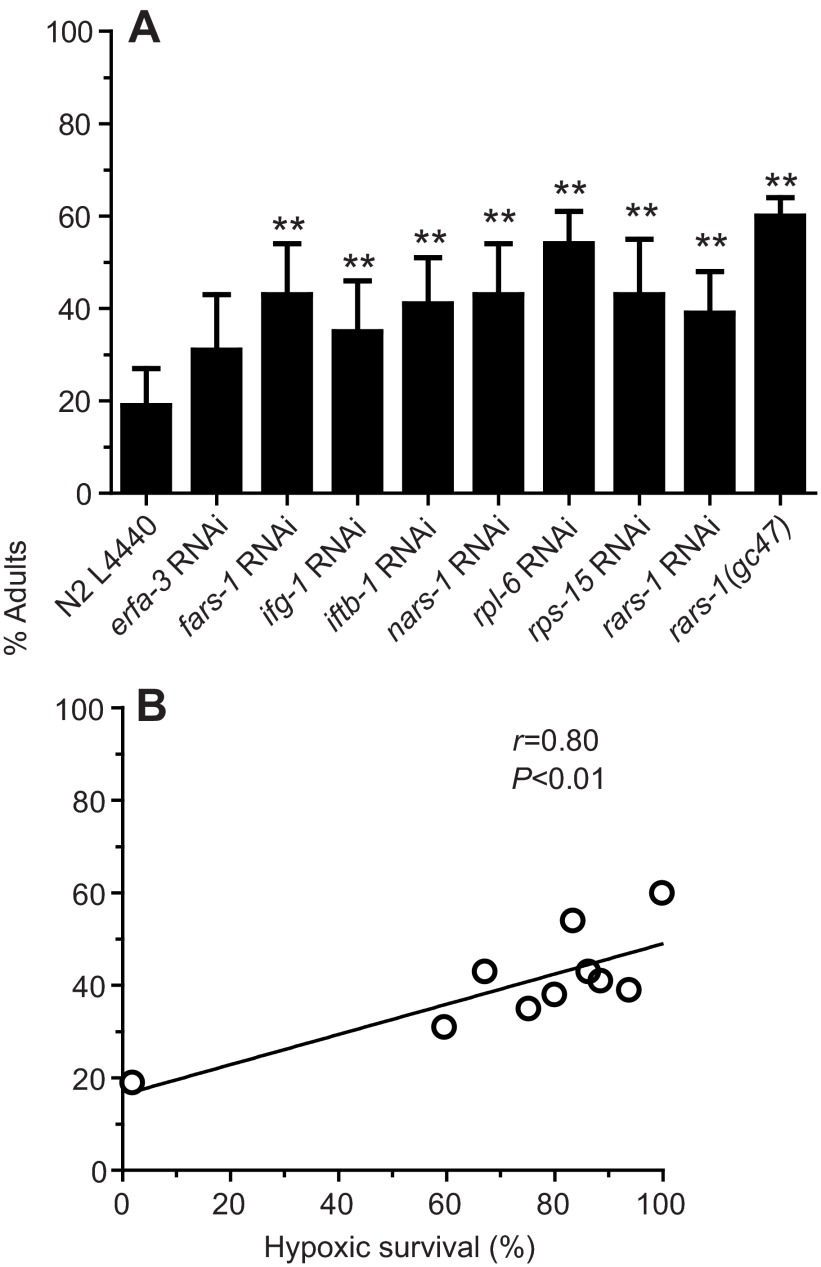 Fig. 8.