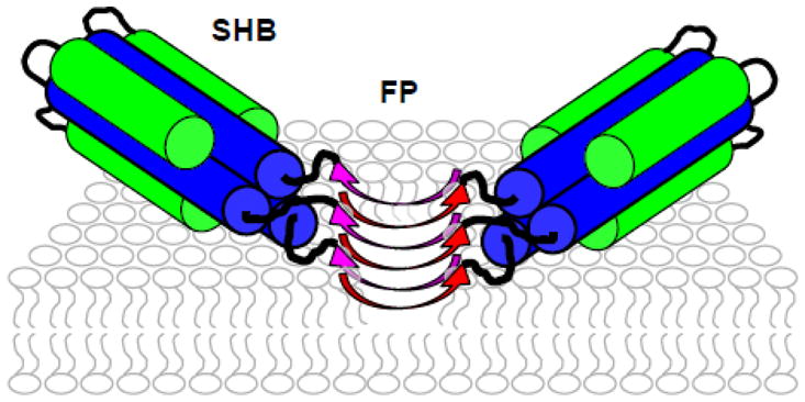 Fig. 9