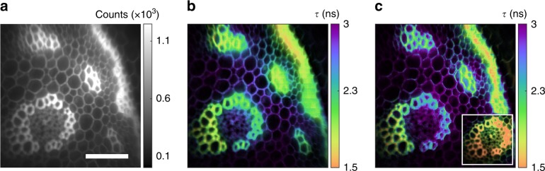 Fig. 4