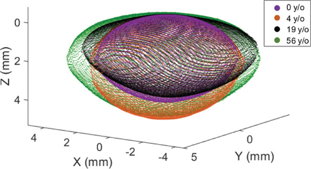 Figure 2.