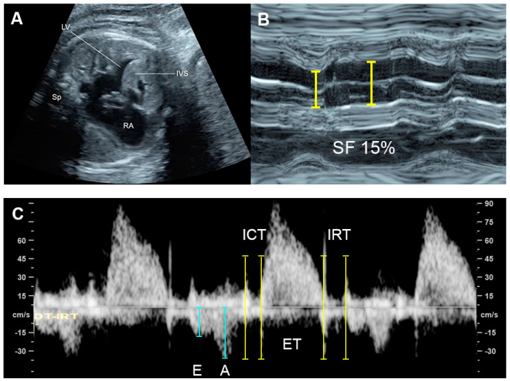Figure 9