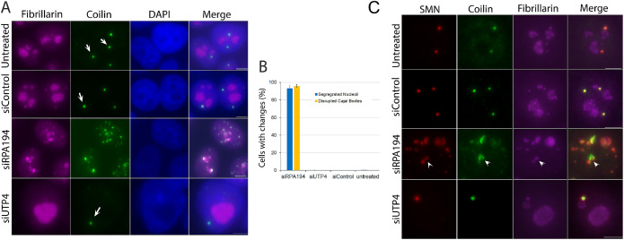 FIGURE 7: