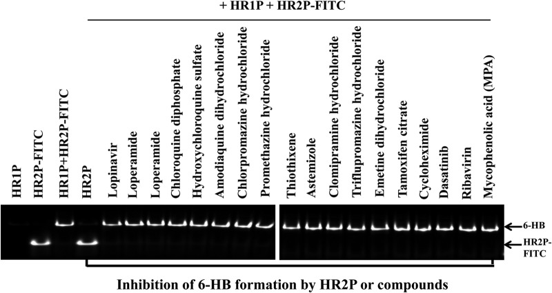 FIG 1