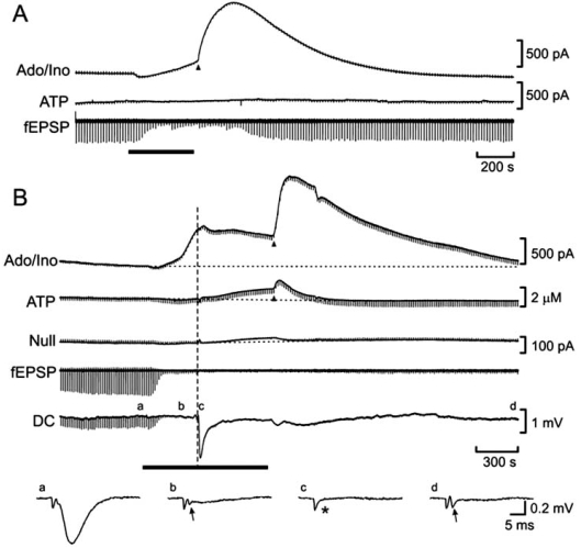 Fig. (6)