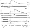 Fig. (6)