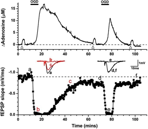 Fig. (3)