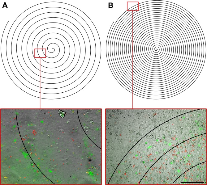 Fig 4