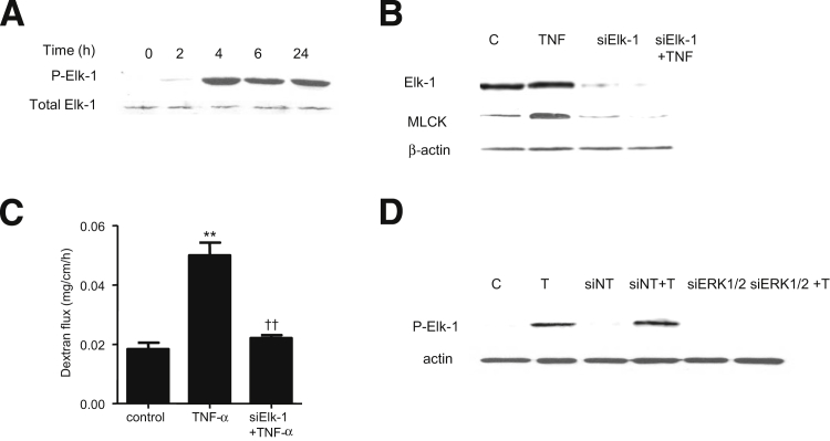 Figure 11