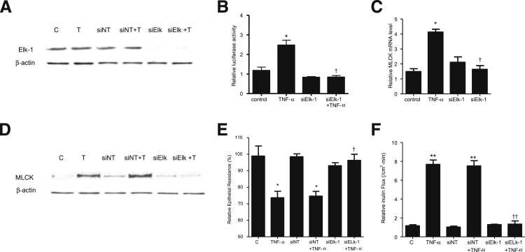 Figure 6