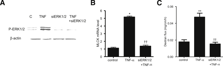 Figure 10