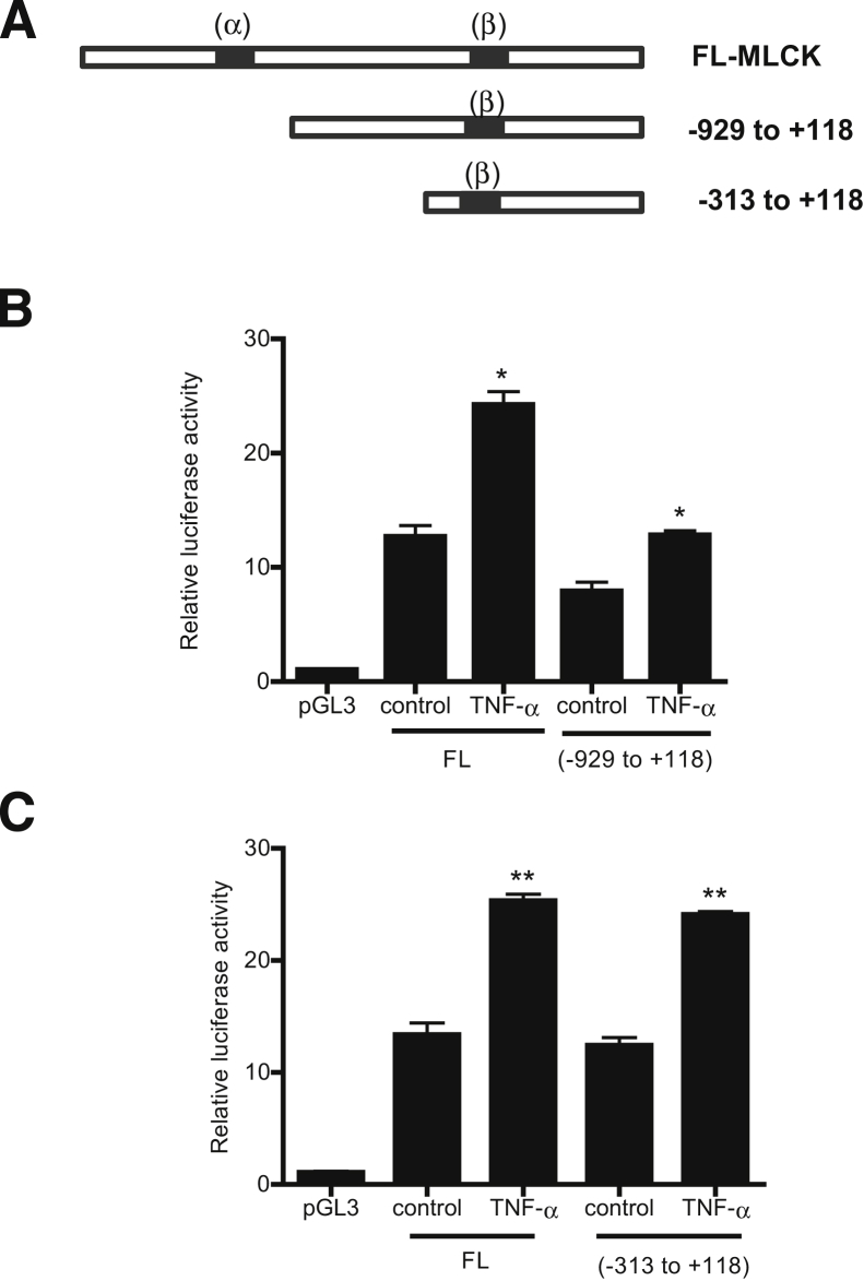 Figure 7