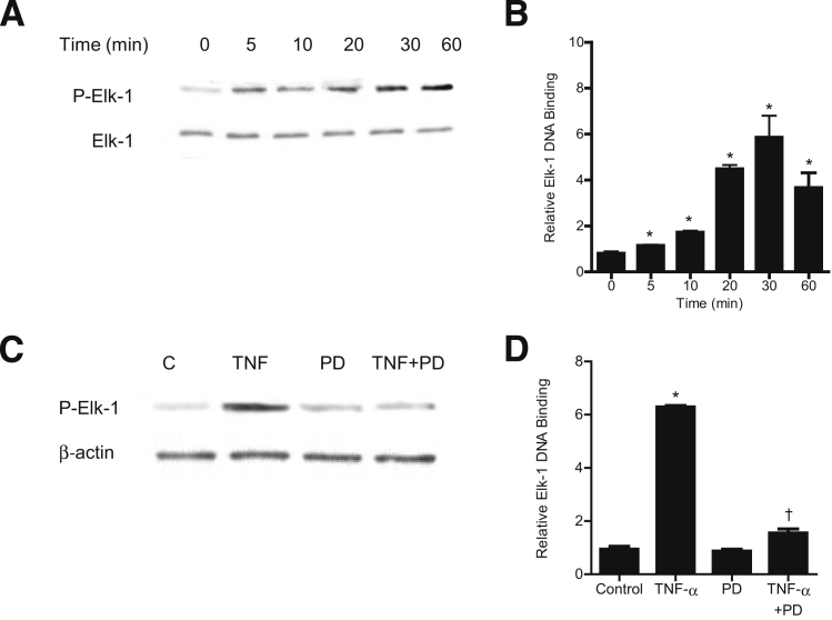 Figure 5