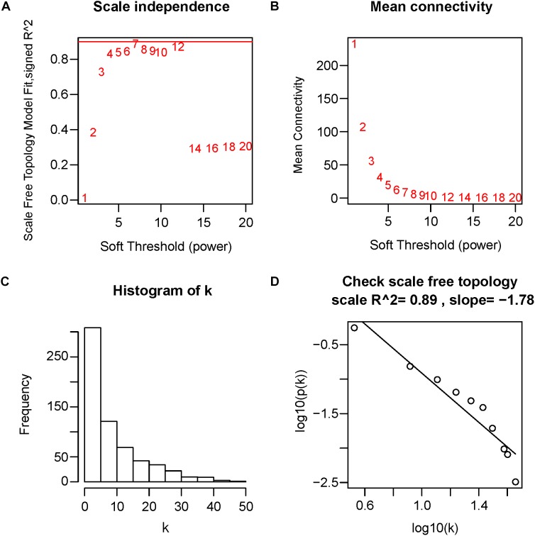 FIGURE 4