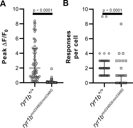 Figure 4—figure supplement 1.